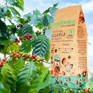 Villa Rica (Peru) Specialty Organic Coffee | Whole Bean | 8.8 oz.
