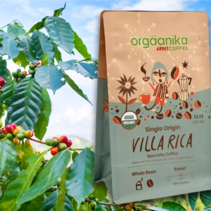 New Villa Rica (Peru) Specialty Organic Coffee | Whole Bean | 12 oz.